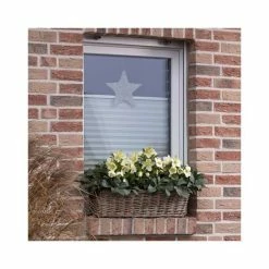 2ft Helleborus 'Ice Breaker® Max' | 4.5L Pot | Helleborus Gold Collection® -Yellow Plants Store PL52011 add image 2 7a98