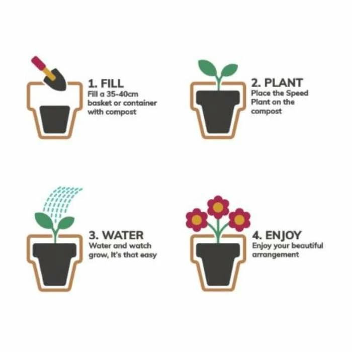 Pansy Cool Wave® Mixed Speed Planter for Hanging baskets 3 Pansy Cool Wave® Mixed Speed Planter for Hanging baskets - Image 3