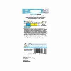 Nemophila 'Five Spot' Seeds | Nemophila Maculata | By Mr Fothergills -Yellow Plants Store PL92424 add image 2 98bc