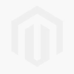 40cm Rhododendron 'Bernstein' | 2 Litre Pot