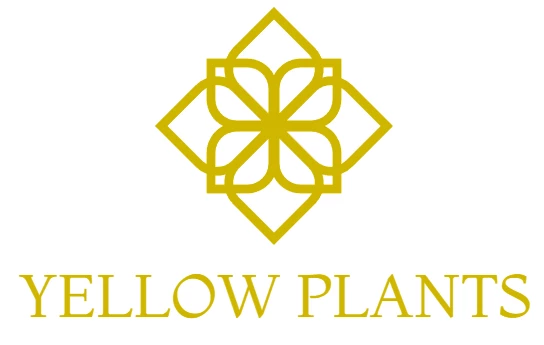 Yellow Plants Store